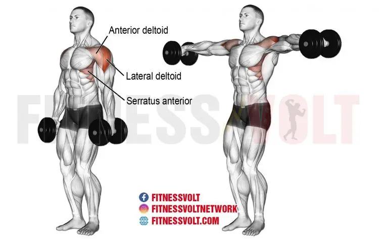 Dumbbell Lateral Raise (Shoulders)