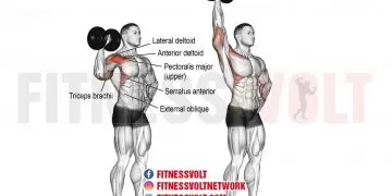 Dumbbell One-Arm Overhead Press