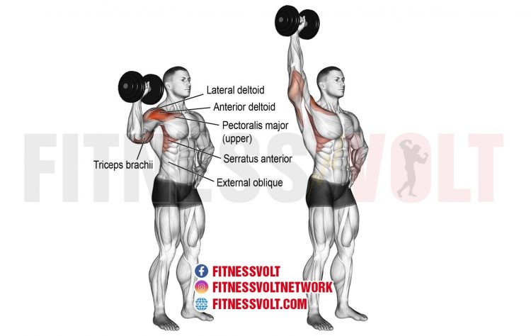 Dumbbell One-Arm Overhead Press