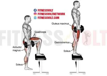 Dumbbell Step-Up: Build Strong Legs and Glutes Effectively