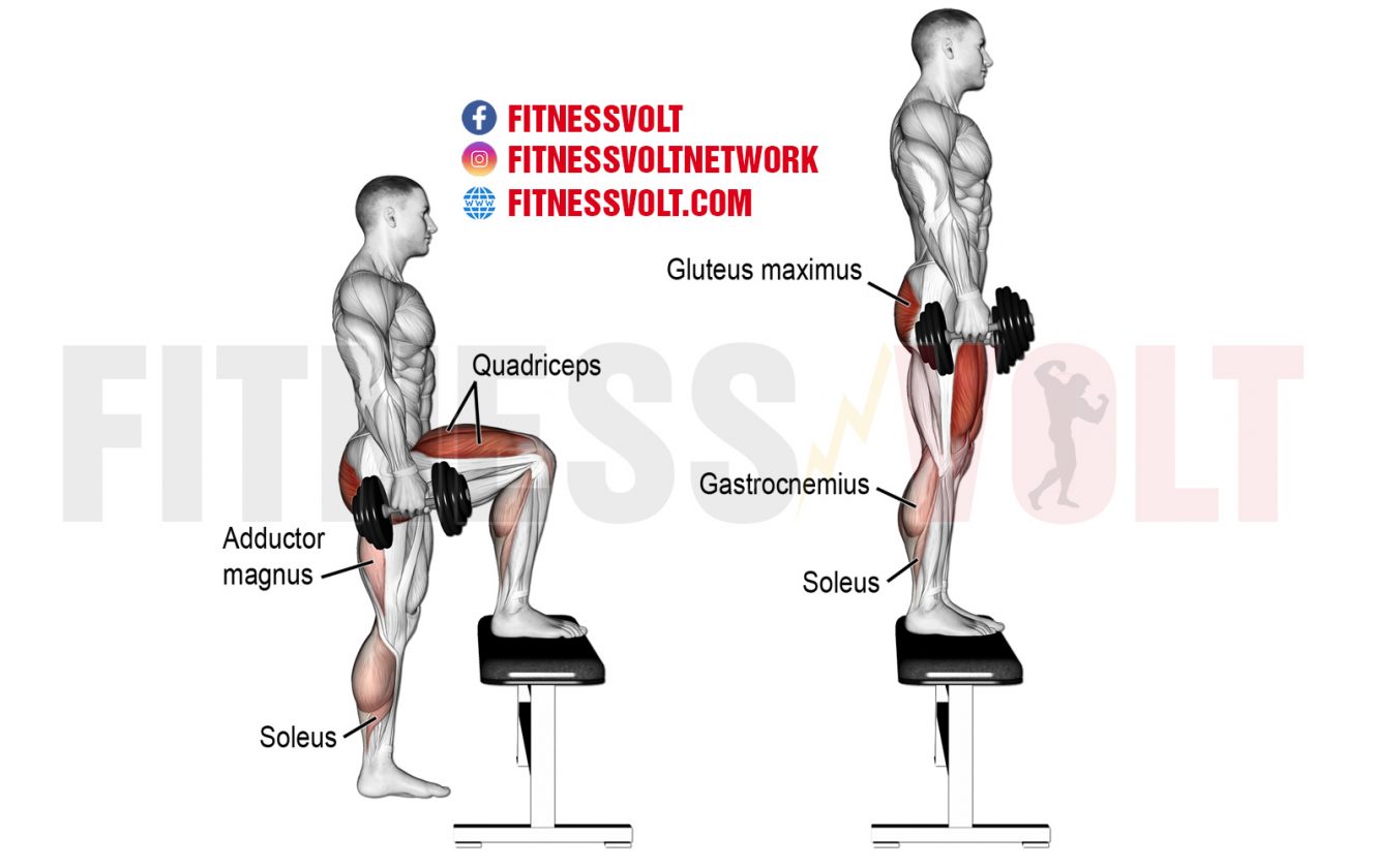 Step Ups For Building Lower Body Strength Fitness Volt