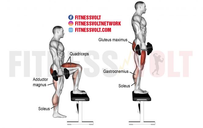 Step-Ups For Building Lower-body Strength – Fitness Volt