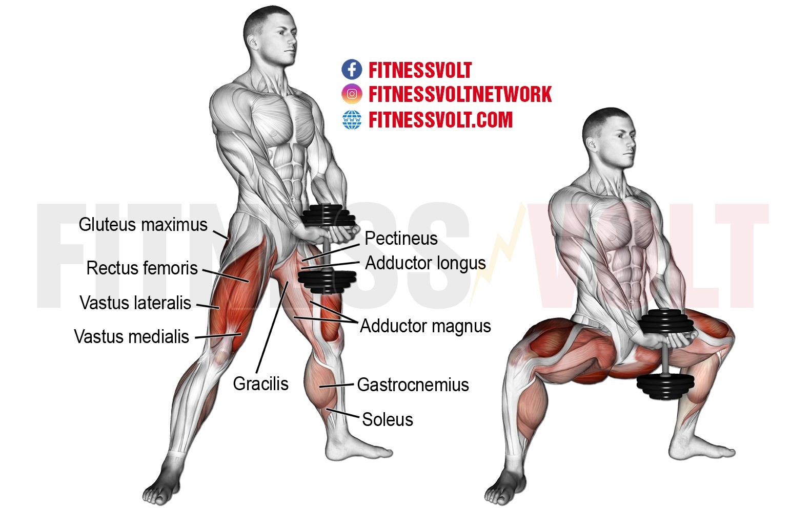Add the Dumbbell Sumo Squat Exercise to Leg Day Workout​s