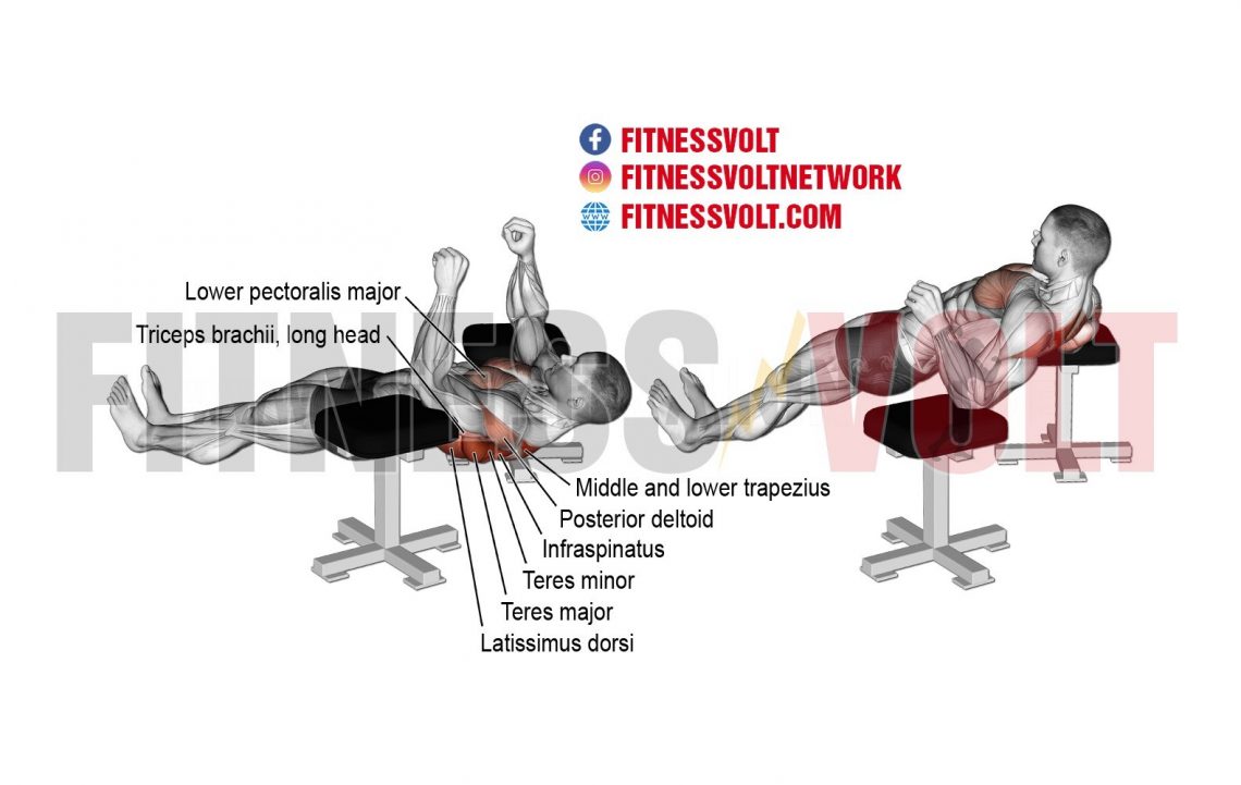 Elbow Lift (Back) Fitness Volt