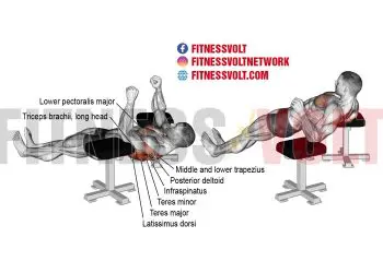 Elbow Lift: Strengthen Your Biceps and Shoulders Effectively