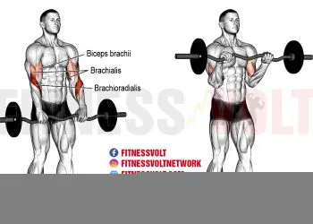 EZ Bar Reverse Curl: Build Your Biceps & Forearms Today!