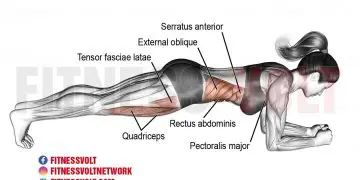 Master the Front Plank: Strengthen Your Core and More!