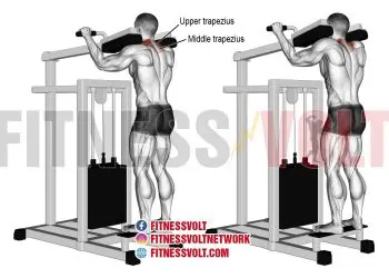 Gripless Shrug: Target Your Traps & Upper Back Muscles