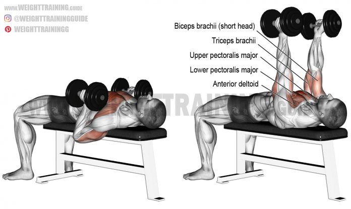 Hammer-grip Dumbbell Bench Press – Fitness Volt Bodybuilding & Fitness ...