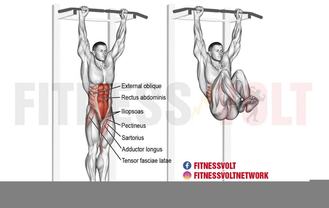 Hanging Leg And Hip Raise (Abdominals) – Fitness Volt