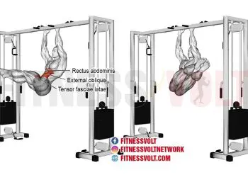 Hanging Windshield Wiper: Target Your Obliques & Core
