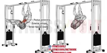 Hanging Windshield Wiper: Target Your Obliques & Core