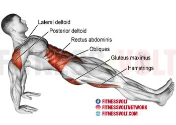 Reverse Plank Exercise: Strengthen Glutes, Core, and More!