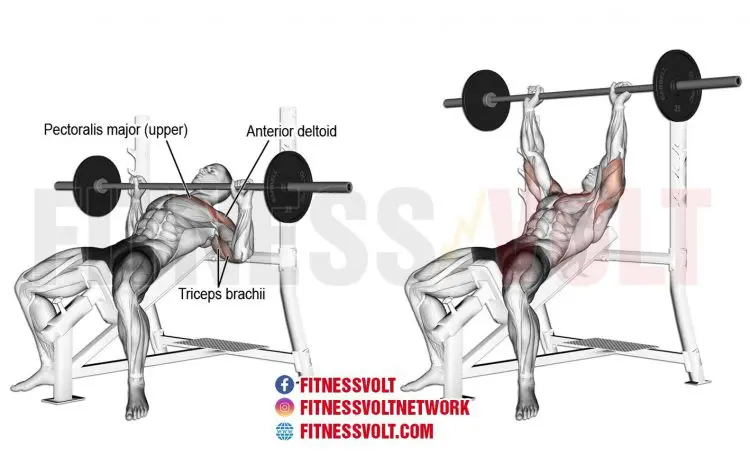 incline barbell bench press