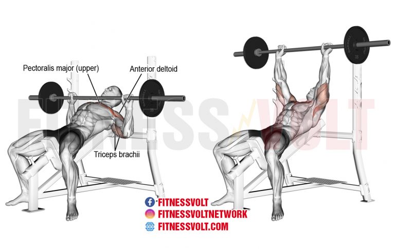 Flat Bench vs. Incline Bench Press – Which one should you do? – Fitness ...