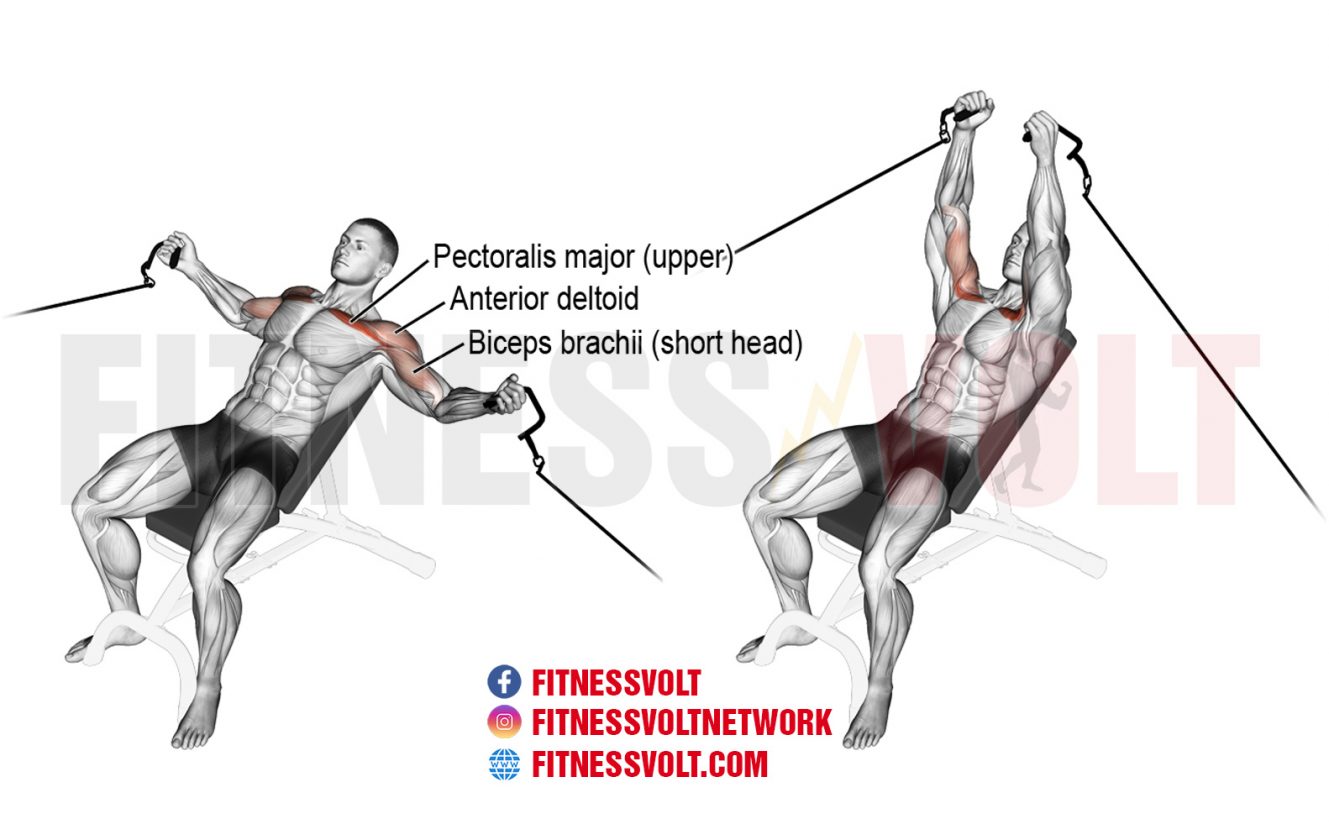 The 12 Best Cable Crossover Alternatives Fitness Volt