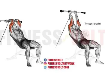 Incline Cable Tricep Extension: Build Stronger Triceps Today!