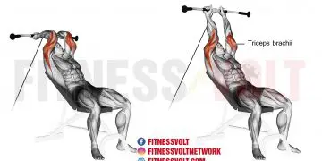 Incline Cable Tricep Extension: Build Stronger Triceps Today!
