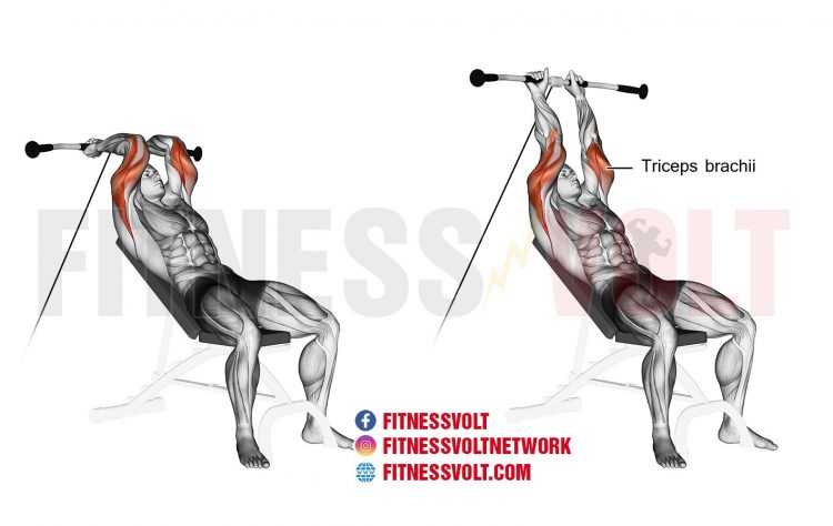 Incline Cable Tricep Extension (Triceps) – Fitness Volt