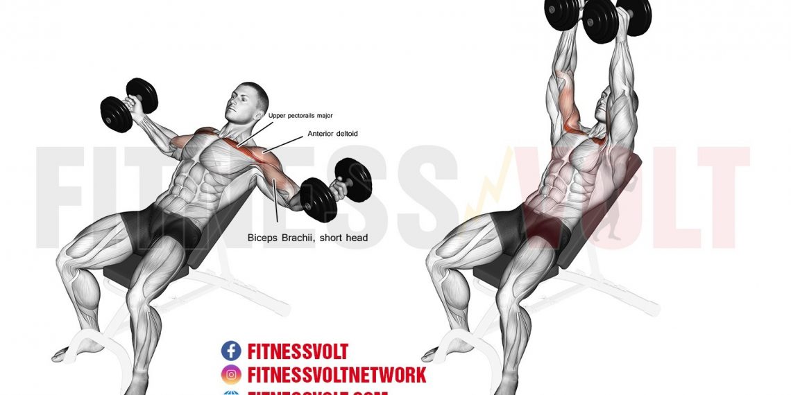 Exercise Guides Archives – Page 14 of 20 – Fitness Volt