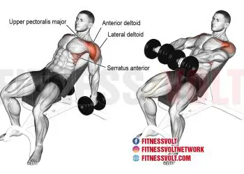 Dumbbell Incline Shoulder Raise: Target Deltoids & More!