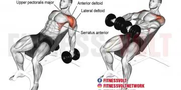 Dumbbell Incline Shoulder Raise: Target Deltoids & More!