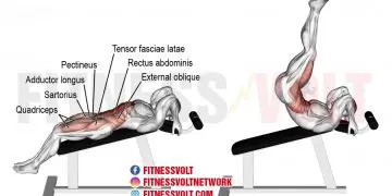 Incline Straight Leg Raise: Target Your Core and Hip Flexors