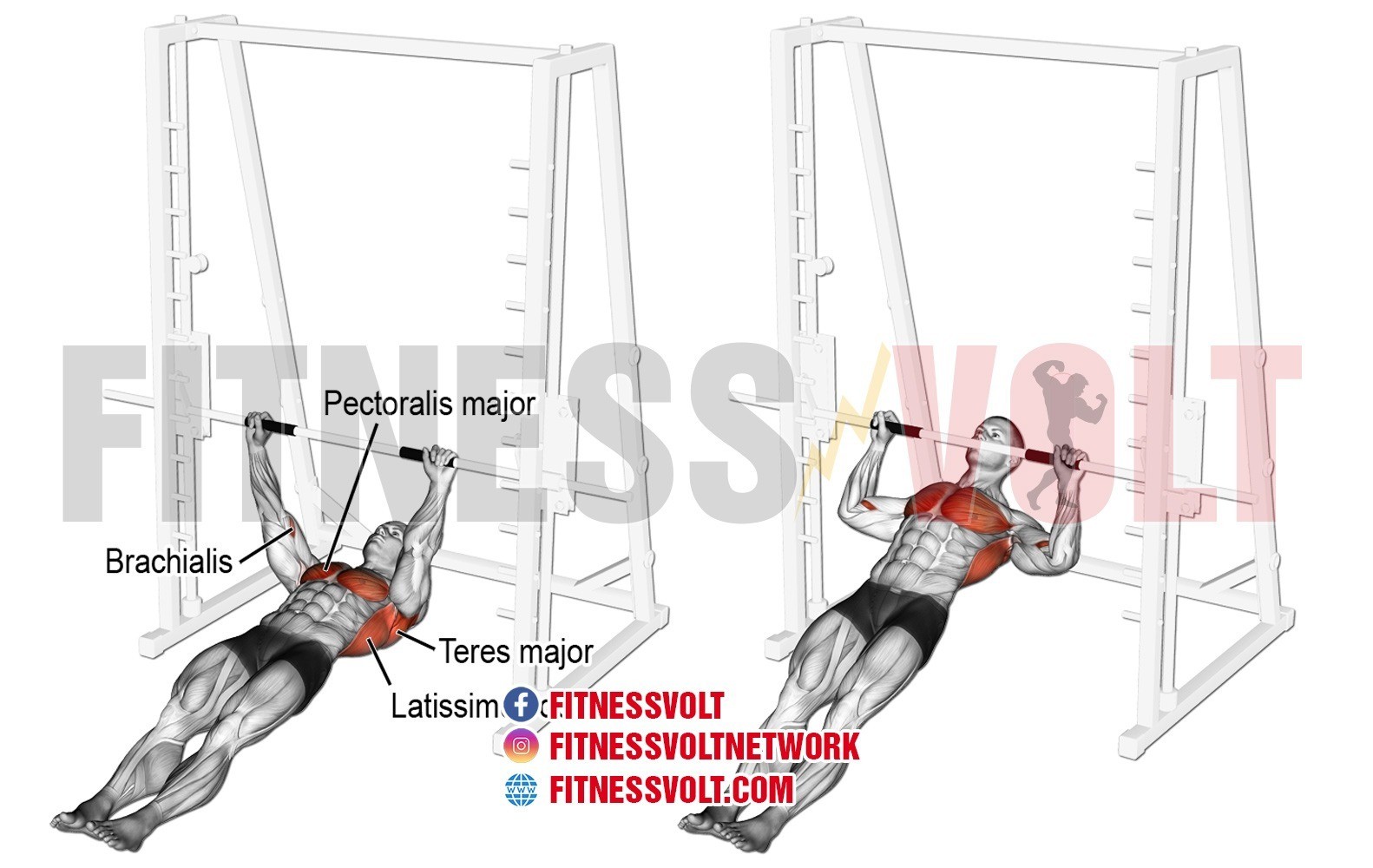 How To Do Inverted Row (Back) Fitness Volt