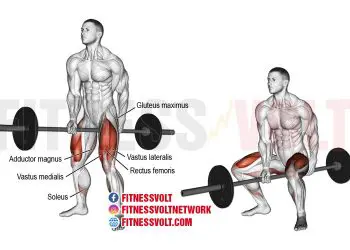 Ultimate Jefferson Squat: Build Strength in Your Lower Body