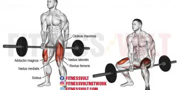 Ultimate Jefferson Squat: Build Strength in Your Lower Body