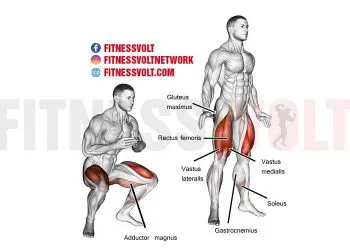 Jump Squat: Tone Your Legs and Core for Maximum Strength!