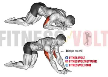 Kneeling Bodyweight Tricep Extension: Tone Your Triceps Today!