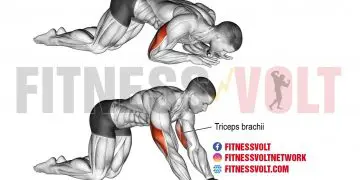 Kneeling Bodyweight Tricep Extension: Tone Your Triceps Today!