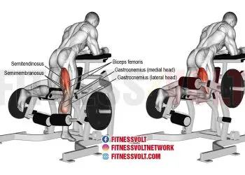 Kneeling Leg Curl: Master Your Hamstrings & Glutes Today!