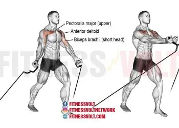 Low Cable Cross-Over: Target Your Chest and Triceps Effectively