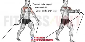 Low Cable Cross-Over: Target Your Chest and Triceps Effectively