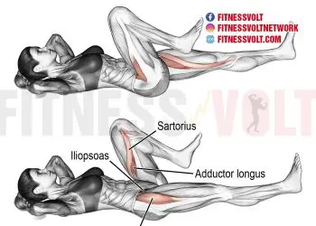 Target Your Iliopsoas: Effective Lying Alternating Knee Raise