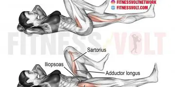 Target Your Iliopsoas: Effective Lying Alternating Knee Raise