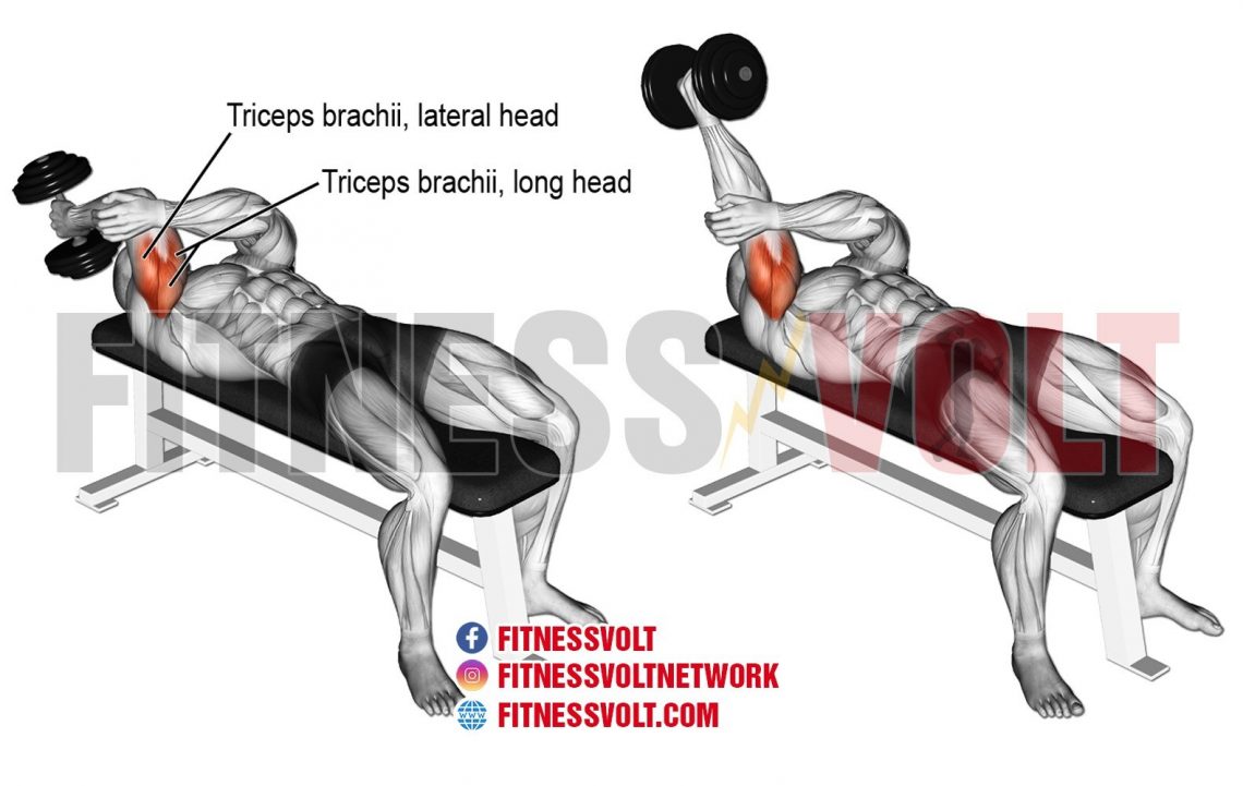 Lying One-arm Dumbbell Triceps Extension (Triceps) – Fitness Volt