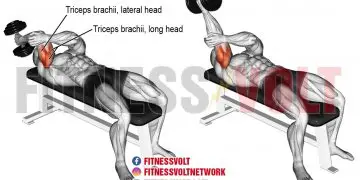 Lying One-Arm Dumbbell Triceps Extension for Stronger Arms