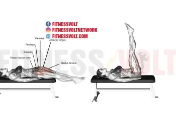 Lying Straight Leg Raise