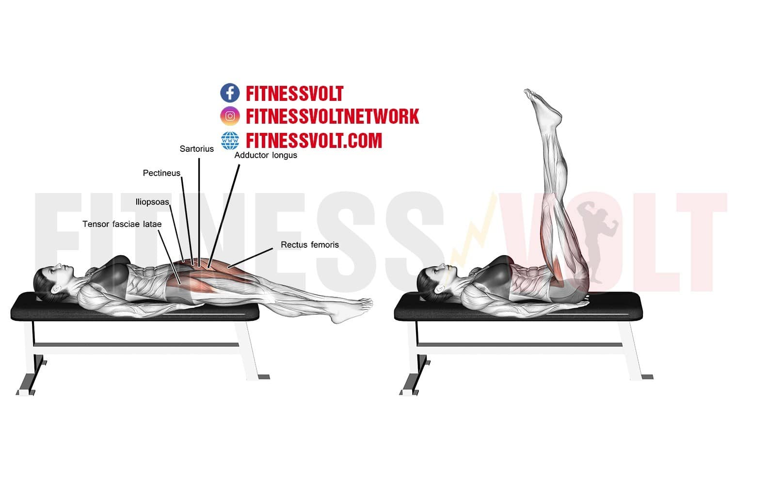 Straight Leg Raise Strengthen Abs Hip Flexors Effectively Fitness Volt Straight Leg Raise Strengthen Abs Hip Flexors Effectively Fitness Volt