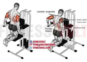 Machine-Assisted Triceps Dip: Strengthen Your Upper Body Today!