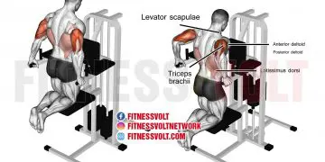 Machine-Assisted Triceps Dip: Strengthen Your Upper Body Today!