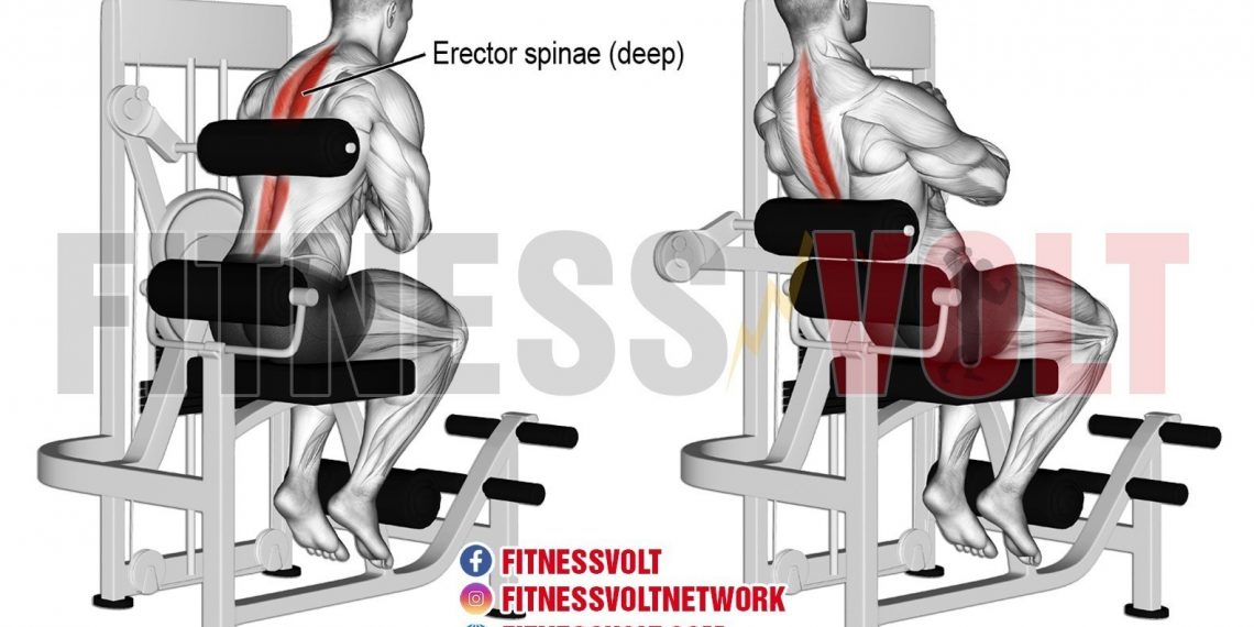 Exercise Guides Archives – Page 14 of 20 – Fitness Volt