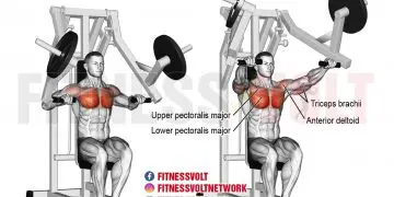 Maximize Chest Gains: Machine Chest Press for Stronger Pecs