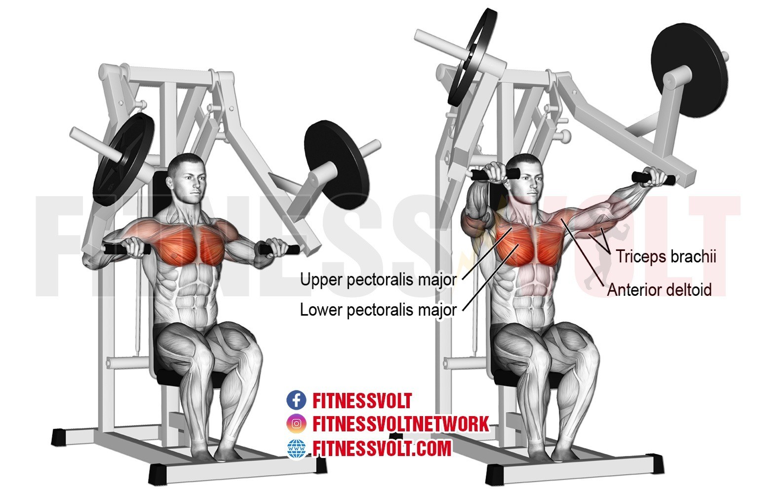 Machine Chest Press Exercise Guide And Videos Fitness Volt