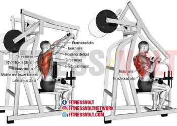 Build Back Strength: Seated High Row for Powerful Lats & Biceps