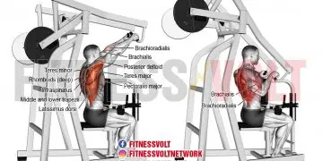 Build Back Strength: Seated High Row for Powerful Lats & Biceps