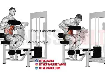 Ultimate Machine Seated Crunch for Core Strength and Definition